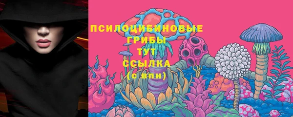каннабис Новозыбков